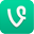Vine