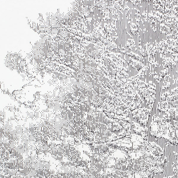 Japanese Trees - 2 of 25